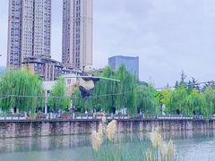 -成都市活水公园