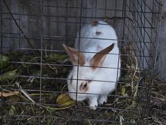 -南窖乡水峪村山情农家