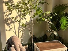 -吾象走甜·生日蛋糕·甜品台茶歇