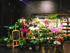 -豆豆花艺(新光天地店)