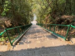 -云南屏边大围山国家公园