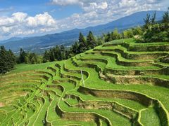 -紫鹊界梯田景区