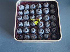 -法诗甜蛋糕店(皇姑大润发店)