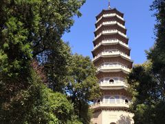 -灵谷景区