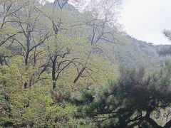 -泰山风景名胜区