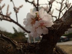 -北京信息科技大学(小营校区)