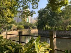 -晓港公园