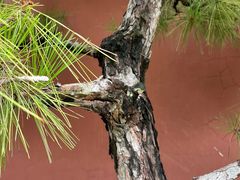 -西安华清御汤酒店