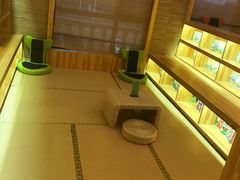 -望儿山温泉水乐园