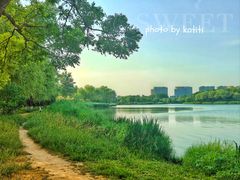 -大兴滨河森林公园