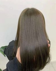 -YESIDO椰岛造型