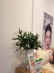 -WH日式美甲沙龙