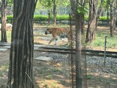 -秦皇岛野生动物园