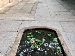-普陀山风景名胜区-法雨禅寺