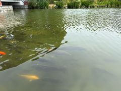 -平湖九龙山庄园圣马可酒店