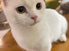-有何Book(六堰体育馆店)