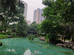 -静安公园(静安寺街道)