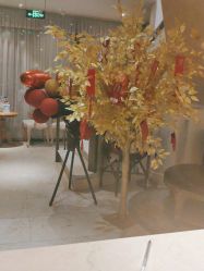 -海茱雅科技健康美容