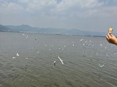 -海埂大坝