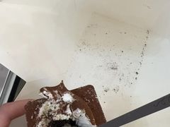 -PARIS BAGUETTE巴黎贝甜(周浦万达店)