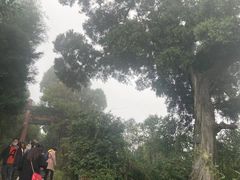 -金堂县云顶石城风景区