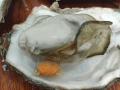 -春和發特色蒸饺(浐河西路店)