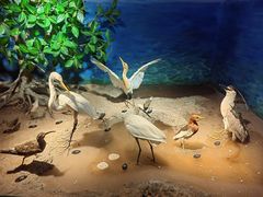 -中国（海南）南海博物馆