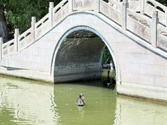 -北宫国家森林公园