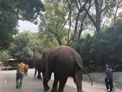 -深圳野生动物园