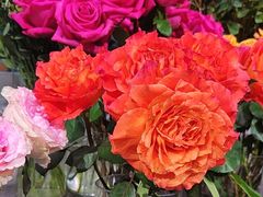 -FEI FEI FLOWER鲜花店·气球派对·宝宝宴布置(虹口德必运动Loft店)
