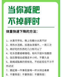 -Fundi张玉珊修身堂·indiba·BTL科技瘦身