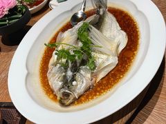 -宁波柏悦酒店·钱湖渔港