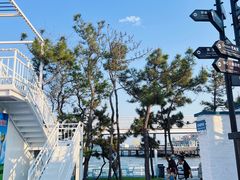 -北戴河碧螺塔海上酒吧公园