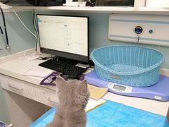 -纳吉亚猫专科动物医院·北北分院