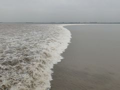 -观潮胜地公园