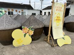 -苏州市吴中区光福窑上花果蜜饯厂