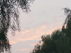 -山塘街