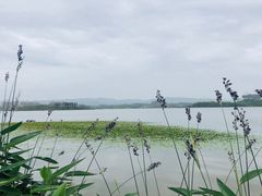 -星巴克(成都科学城店)