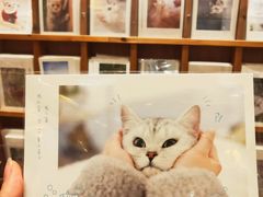 -猫的天空之城概念书店(印象城购物中心店)