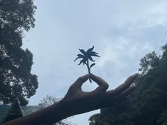 -古龙峡云天玻霸