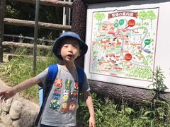 -神户市立六甲山牧场