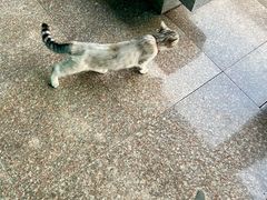 -博山正觉寺