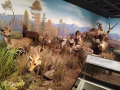 -陕西自然博物馆