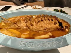 -阿五黄河大鲤鱼(海尚店)