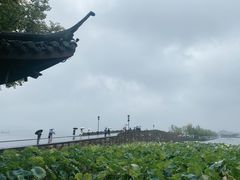 -西湖游船