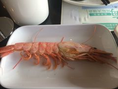 -淄博蓝海国际大饭店·蓝钻国际美食自助百汇(柳泉路店)