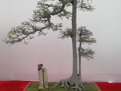 -重庆市江北嘴中央商务区中央公园