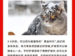 -爱妮康宠物医院·干细胞免疫细胞·肿瘤·心脏(张江店)