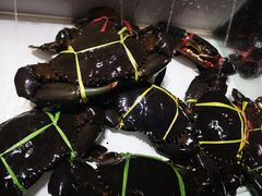 -海盗餐厅