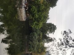 -晓港公园